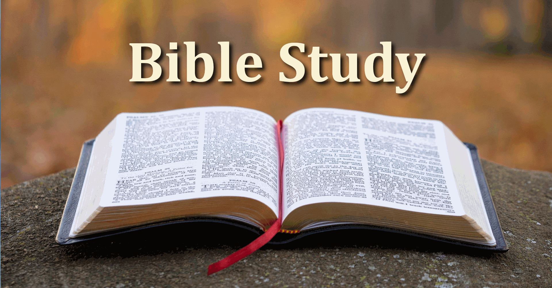 Bible study discussions